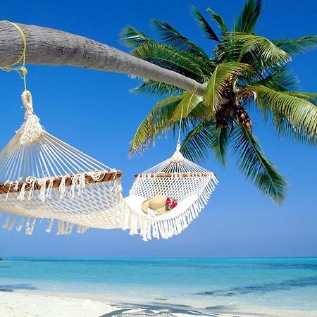 Affordable Two Bedroom Tropical Condo - Private Beach, Pools, Hot Tub Saint Petersburg Eksteriør billede