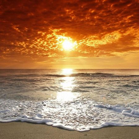 Affordable Two Bedroom Tropical Condo - Private Beach, Pools, Hot Tub Saint Petersburg Eksteriør billede