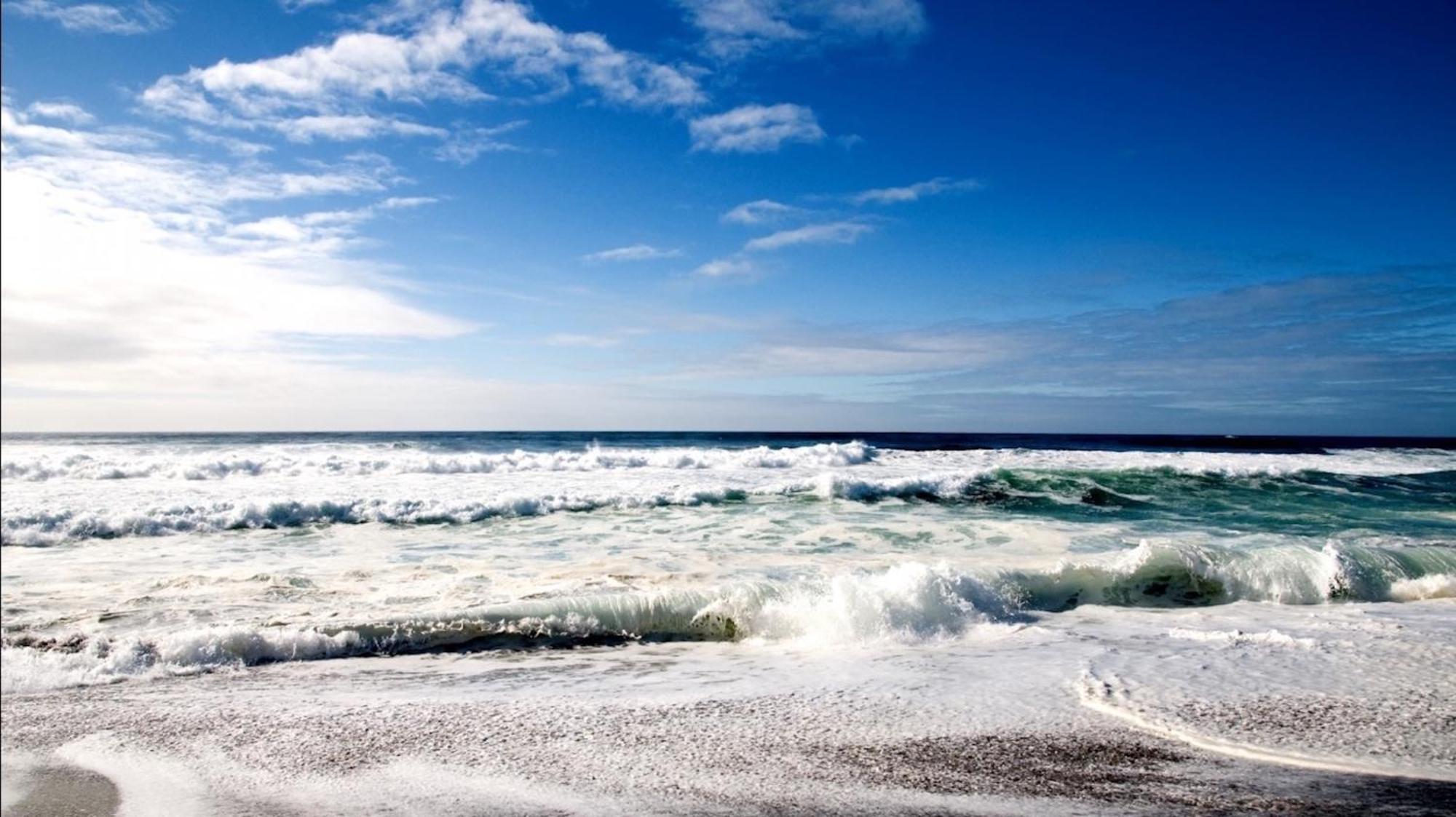 Affordable Two Bedroom Tropical Condo - Private Beach, Pools, Hot Tub Saint Petersburg Eksteriør billede