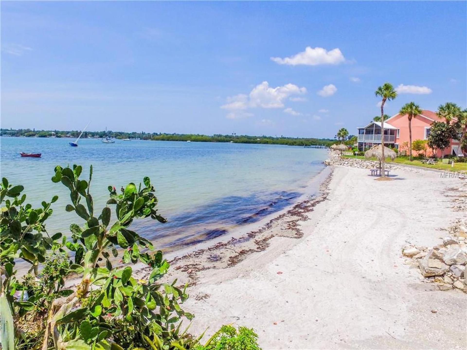 Affordable Two Bedroom Tropical Condo - Private Beach, Pools, Hot Tub Saint Petersburg Eksteriør billede