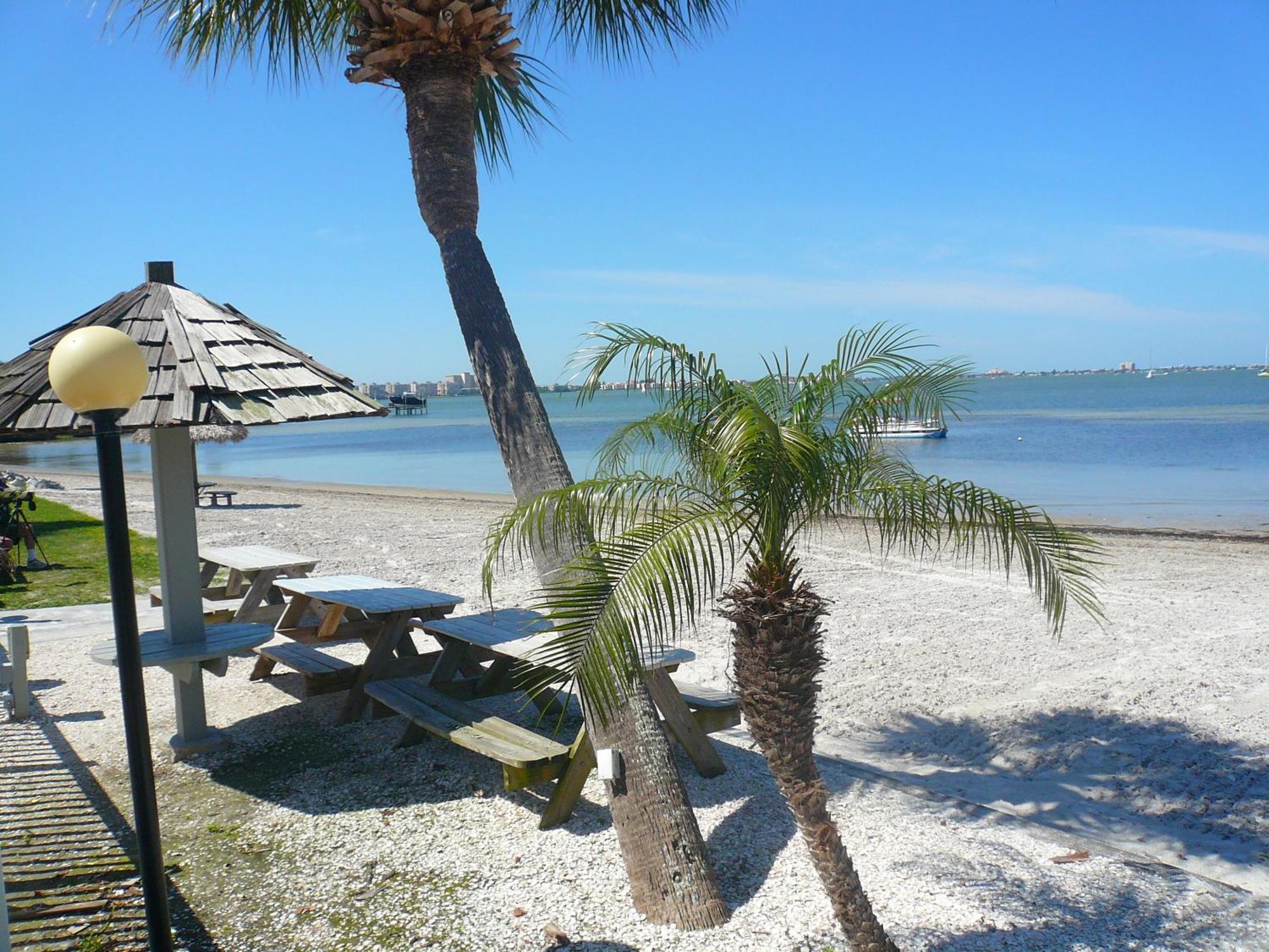 Affordable Two Bedroom Tropical Condo - Private Beach, Pools, Hot Tub Saint Petersburg Eksteriør billede