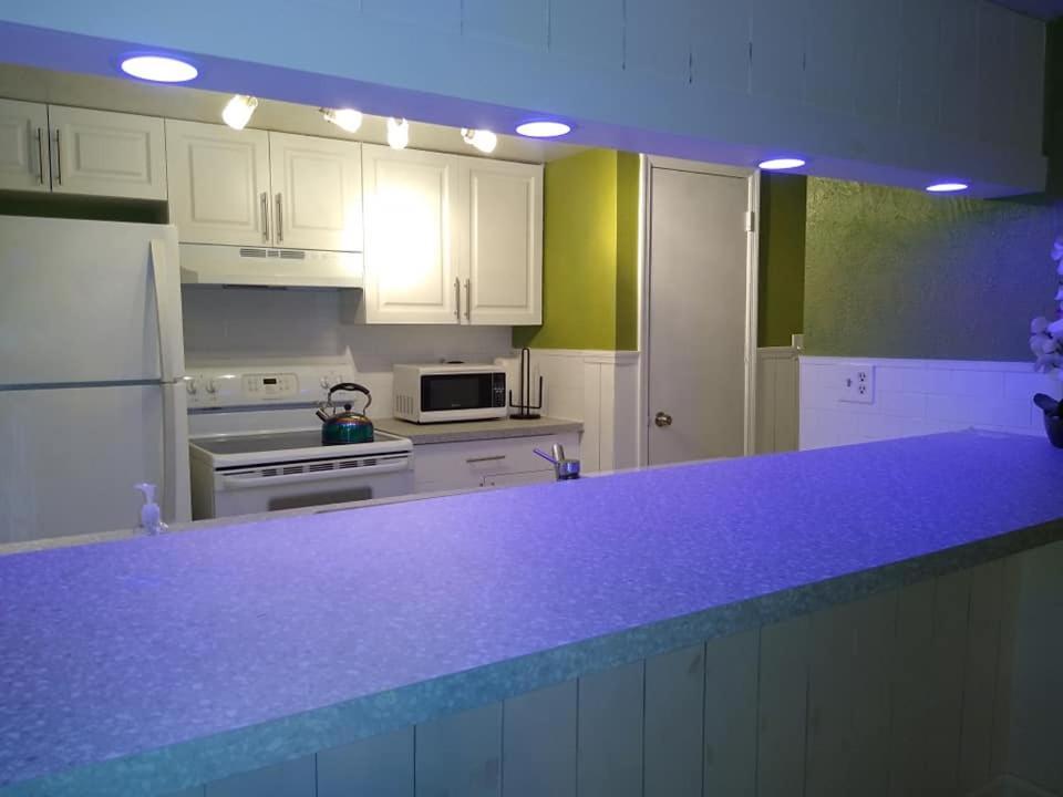 Affordable Two Bedroom Tropical Condo - Private Beach, Pools, Hot Tub Saint Petersburg Eksteriør billede